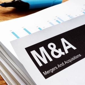 Specialized Services in Mergers and Acquisitions (M&A)